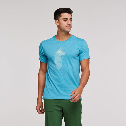 COTOPAXI Mens T-Shirt Topo Llama